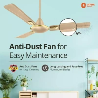 Orient Decorative Gratia Shine HS   1 Star Ceiling Fan - 1200 mm, Topaz Gold
