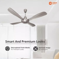 Orient Electric Stallion 1320 mm 4 Blade Ceiling Fan  (Antique Copper, Pack of 1) - 1320 mm, Pewter Finish