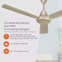 Orient Base BLDC Hector 500 Topaz Gold 900 mm 5 Star Ceiling Fan - 900 mm, Topaz Gold