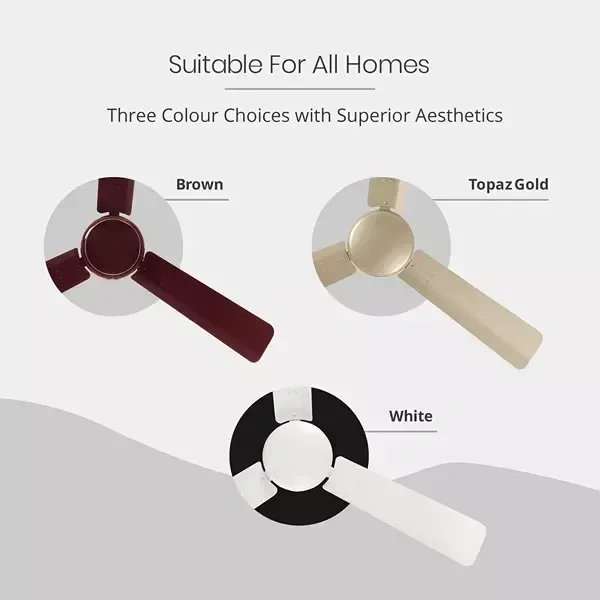 Orient Base BLDC Hector 500 Topaz Gold 900 mm 5 Star Ceiling Fan - 900 mm, Topaz Gold