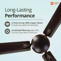 Orient Decorative Gratia Shine HS   1 Star Ceiling Fan - 1200 mm, Metallic Copper