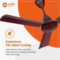 Orient Base BLDC Hector 500 Brown 900 mm 5 Star Ceiling Fan - 900 mm, Brown