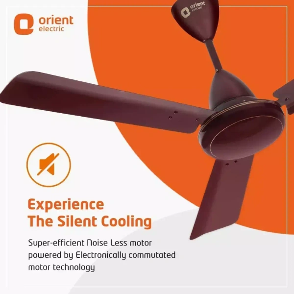 Orient Base BLDC Hector 500 Brown 900 mm 5 Star Ceiling Fan - 900 mm, Brown