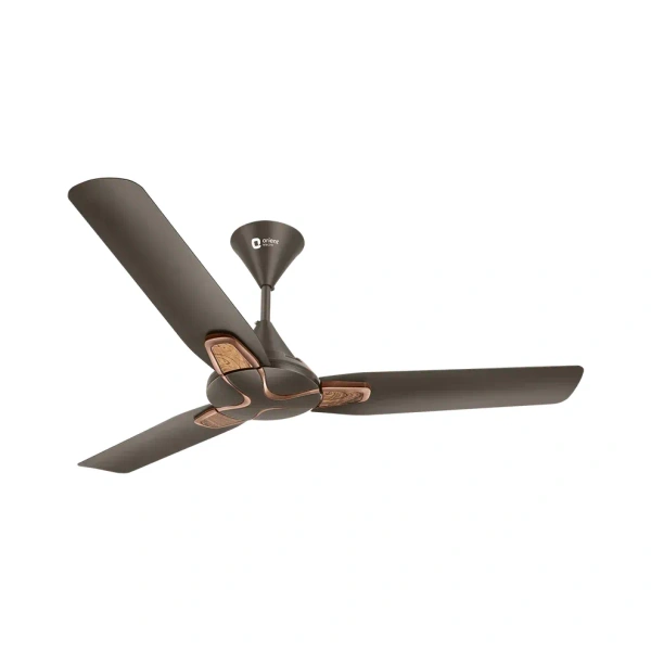Orient Electric  Jazz Maple Ceiling Fan - 1200 mm, Metallic Bronze Copper