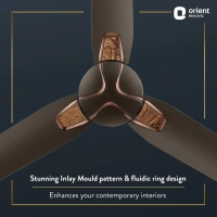 1200MM Jazz Trendz Decorative Ceiling Fan  - 1200 mm, Metallic Bronze Copper