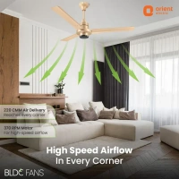 EcoTech Supreme 1200mm Energy Efficient BLDC Ceiling Fan Remote - 1200 mm, Topaz Gold