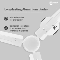 Orient Electric New Breeze 1200mm Decorative ceiling fan | Ribbed Blades and durable copper motor - 1200 mm, White