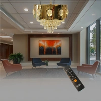 delamps Delamps 500 mm golden remote controller chandelier for drawing room , hall, hotel , restaurant | color changing  three color (6572R/500 RD)