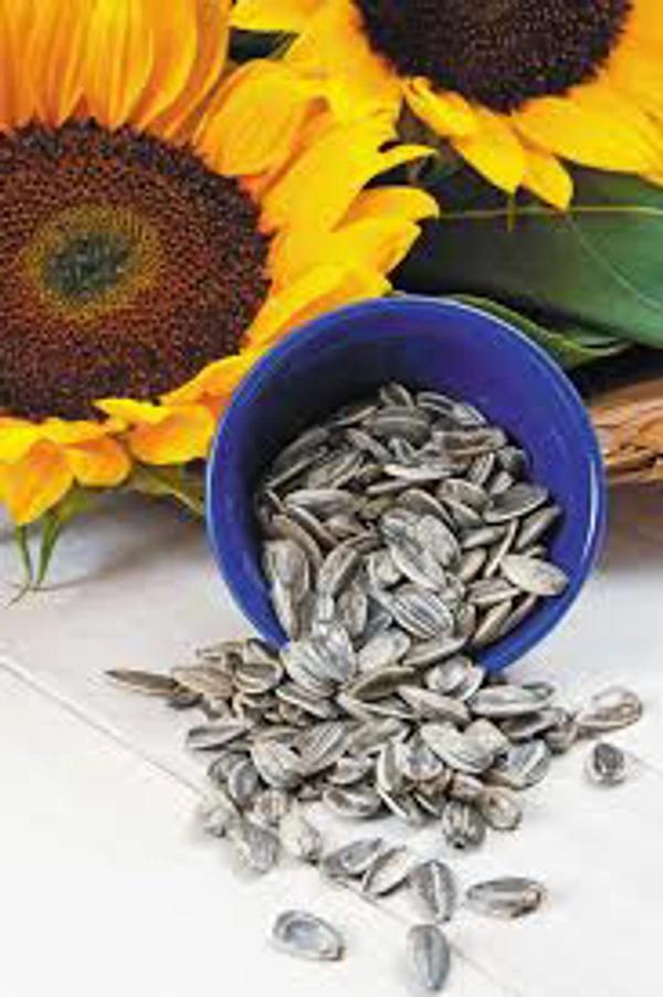 Sunflower Seeds - 500g
