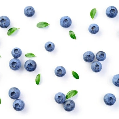 Beautiful Berries