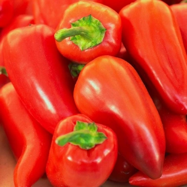 Vegetable Seeds