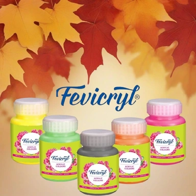 Fevicryl Colours