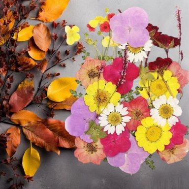 Dried Flowers