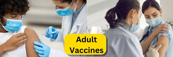 Adult Vaccines