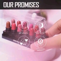Ranzille Mini Bullet Lipstick (Set Of 12)