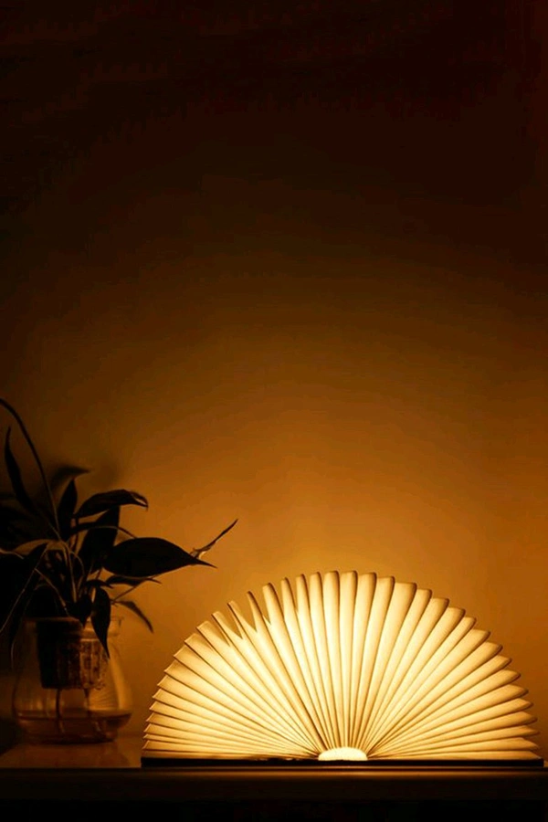 Book Lamp - walnut wood