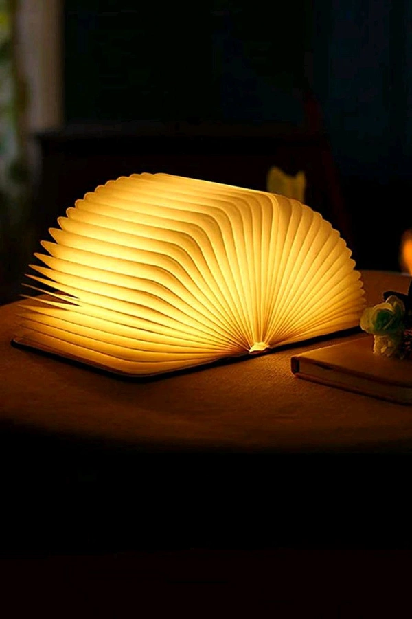 Book Lamp - walnut wood