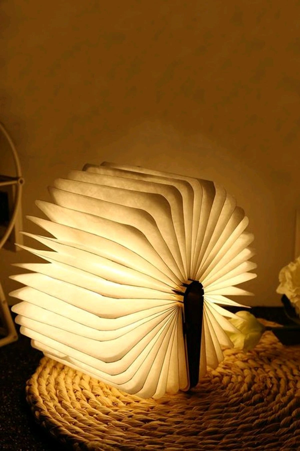 Book Lamp - walnut wood