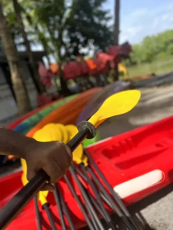kayak paddles