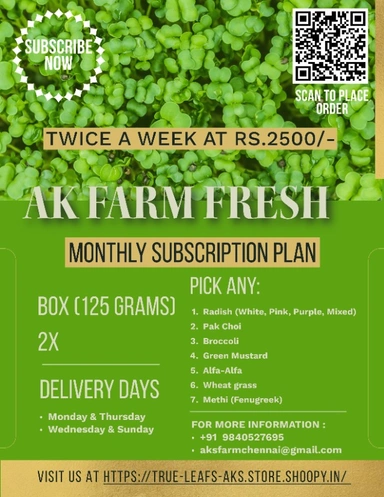 MONTHLY SUBSCRIPTION