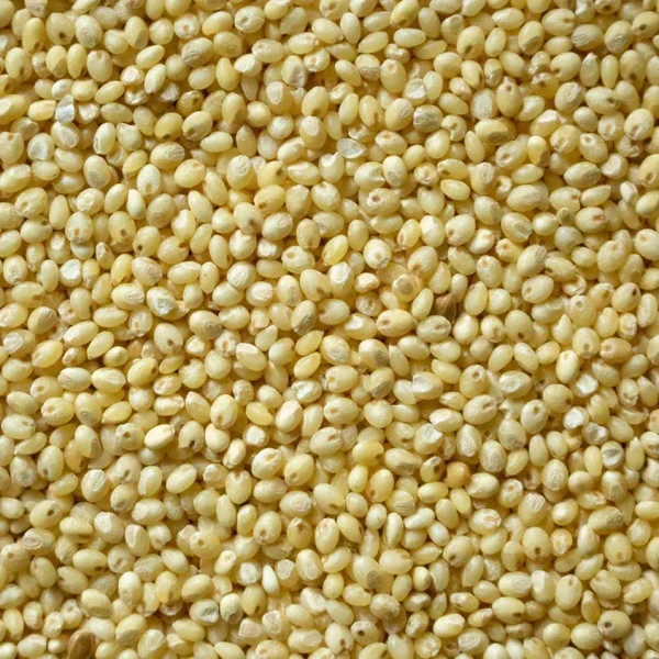 Panivaragu / Prosomillet-500g