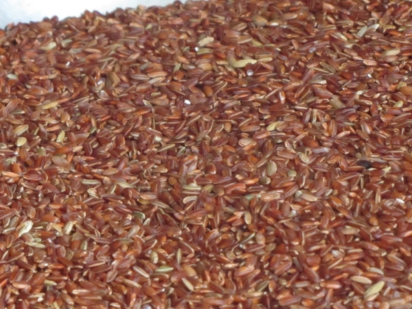 Brown Rice | High Fibre | Full Bran| Raw -1KG