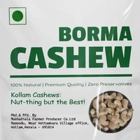 BORMA CASHEW-500g