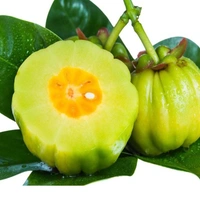 GARCINIA (KUDAM PULI )-1 Kg