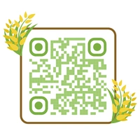 Brown Rice | High Fibre | Full Bran| Raw -1KG