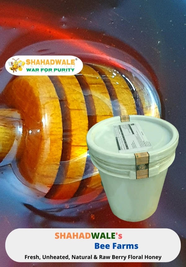 SHAHADWALE Natural Berry, Sidr, and Jujube Honey - Bulk for Brands, Wholesalers & Exporters - Bucket, Berry, 28 kg