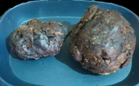 Raw Bee Propolis - 250 gm