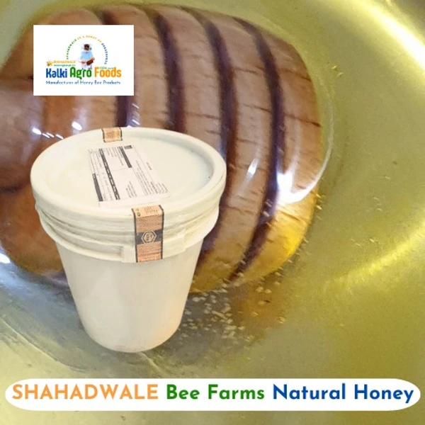 SHAHADWALE Acacia Honey | Kikar Honey | Babool Flora Honey - Bulk for Brands & Wholesalers - Bucket, Acacia / Kikar honey, 28 kg