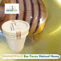 shahadwale Coriender Flora Honey/ Dhaniya Honey - Bulk for Brands & Wholesalers - Bucket, Coriender, 28 kg