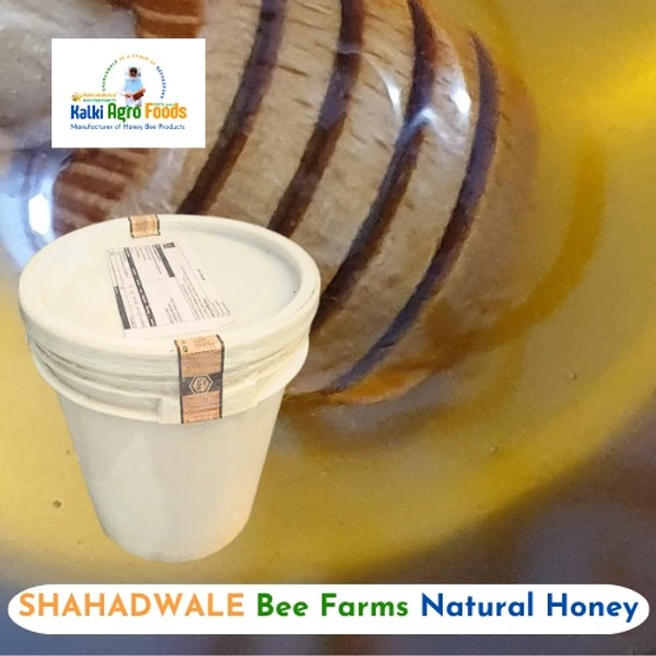 Eucalyptus Honey | Safeda Honey | Neelgiri Flora Honey  Bucket 28kg - Eucalyptus