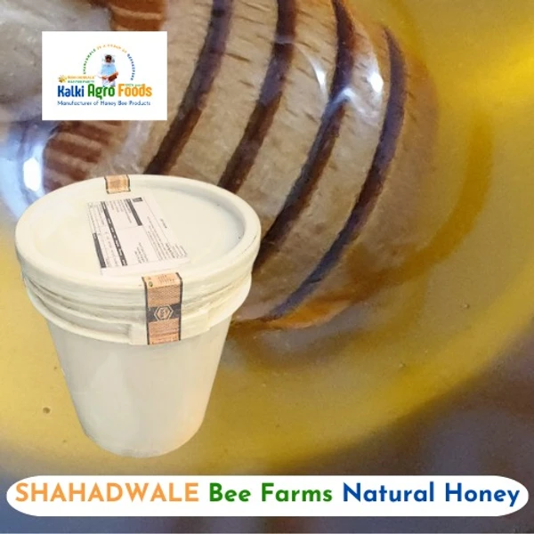 SHAHADWALE Eucalyptus Honey | Safeda Honey | Neelgiri Flora Honey - Bulk for Brands & Wholesalers - Bucket, Eucalyptus, 28 kg