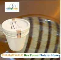 SHAHADWALE Jamun Honey / Blackberry Honey -  Bulk for Brands & Wholesalers - Bucket, Jamun, 28 kg