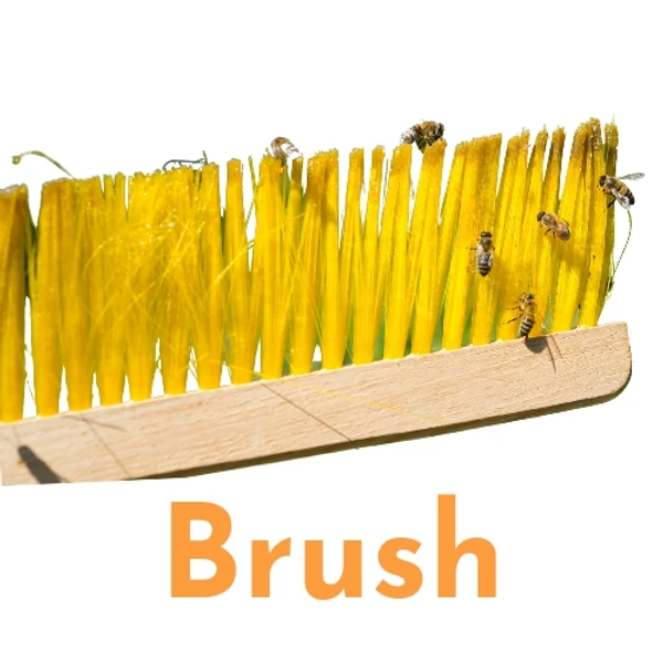 Bee Brush -  Set Of 5