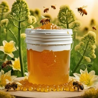 Shahadwale Fennel Honey | Saunf Flora Honey  – Bulk for Brands & Wholesalers - Bucket, Fennel/ Saunf, 28kg