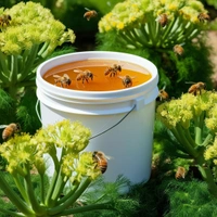 Shahadwale Fennel Honey | Saunf Flora Honey  – Bulk for Brands & Wholesalers - Bucket, Fennel/ Saunf, 28kg