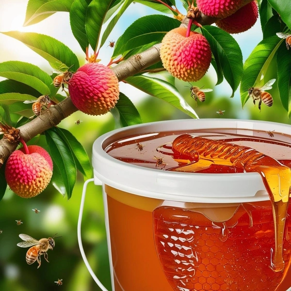 SHAHADWALE Lychee Honey / Litchi Honey - Bulk for Brands & Wholesalers - Bucket, Lychee, 28kg