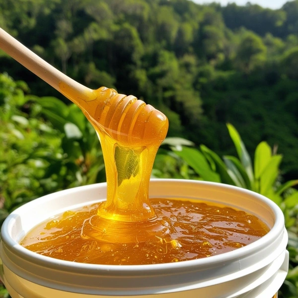 SHAHADWALE Multi Flora Honey | Shivalik Forest Honey | Himaliyan Honey - 1Kg, Premium Quality