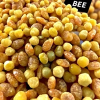 Raw Bee Pollen for Bees – Bulk Orders - Bucket, Mustard, 15 kg