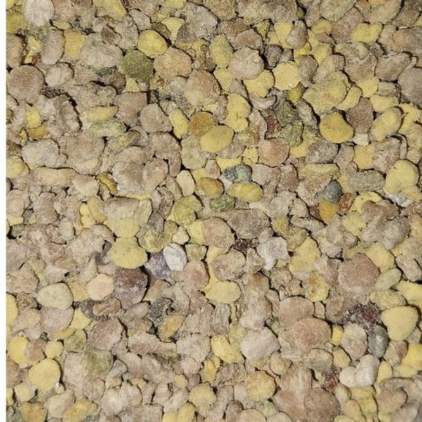 SHAHADWALE Shivalik Multi Flora Bee Pollen – Nature's Gift - 1 Kg