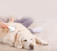 Eureka Forbes , Euro Clean FORBES BUDDY PET GROOMING KIT
