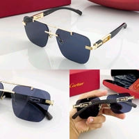 Enhance Your Look with Quality Sunglasses - Without Box