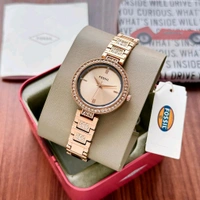 Analog Karli BQ3181 Reliable Quality Quartz machinery Watch