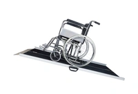 Suitcase Ramp - 8 Feet, 30 inches