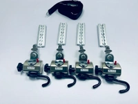 Wheelchair Restraints