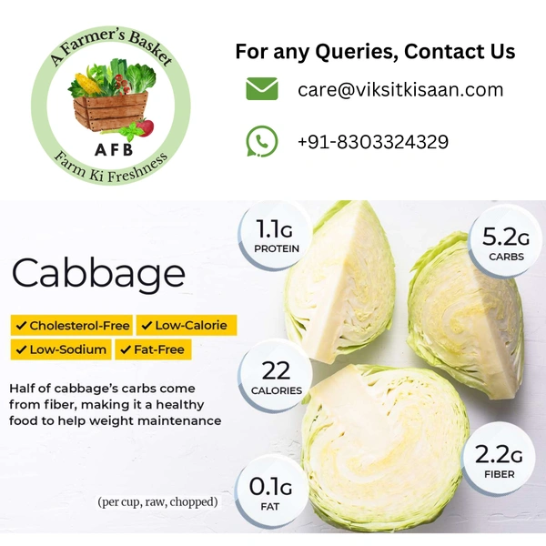 Cabbage (Patta Ghobhi) - 4 Piece (2.5-3 Kg)