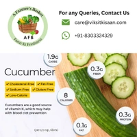 Green Cucumber (Kheera) - 1 Kg